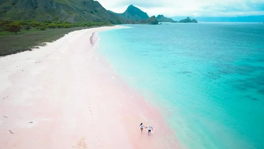 Pink Sand Beach in Komodo
